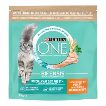 Sac Purina ONE BIFENSIS, couleur sarcelle, avec chat gris à poil long et image de poulet ; textes visibles : 'Purina ONE', 'BIFENSIS', 'Spécial chat de 11 ans et +'.