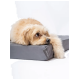 Flauschiger sandfarbener Hund liegt auf einem grauen Haustierbett, Schwanz hängt über den Rand, Etikett mit kursivem Logo sichtbar.
