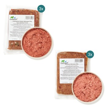 Rohes Rindfleisch-Hundefutter in Verpackung, mit einer Schüssel mit gehacktem Fleisch daneben; Etiketten enthalten Nährwertinformationen und Serviervorschläge.