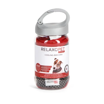 Bandana rafraîchissant rouge pour animaux de compagnie dans un conteneur transparent, étiqueté "RELAXOPET FRESH," avec des instructions d'utilisation et une image de chien.