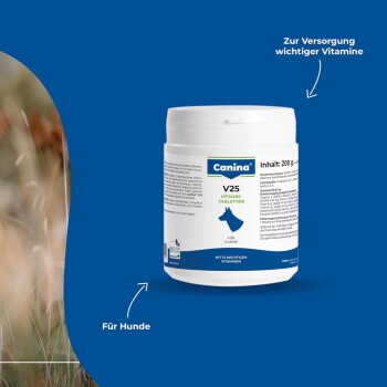 Canina V25 Hundevitamin-Glas vor blauem Hintergrund; Etikett: „Canina V25 Vitamin-Tabletten“ mit Pfeil „Für Hunde“.