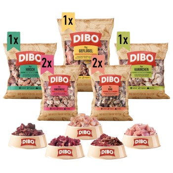 Verschiedene DIBO Haustierfutterprodukte, einschließlich Tüten mit der Aufschrift Geflügel, Kaninchen, Rindfleisch und Schalen mit Fleischstücken.