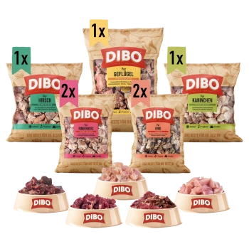 Verschiedene DIBO Haustierfutterprodukte, einschließlich Tüten mit der Aufschrift Geflügel, Kaninchen, Rindfleisch und Schalen mit Fleischstücken.