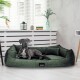 Ein grauer Hund liegt auf einem plüschigen grünen Hundebett in einem hellen Raum mit weißen Jalousien, dekorativen Pflanzen und einer Laterne im Hintergrund.