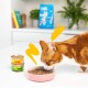 Morceaux en Sauce Chat Adulte Dinde 18x85 g
