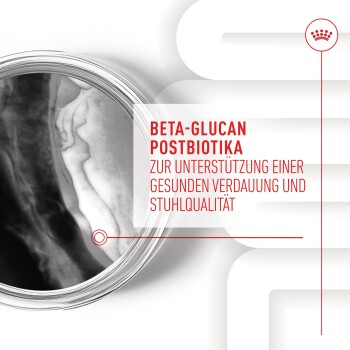 Beta-Glucan Postbiotika, zur Unterstützung einer gesunden Verdauung und Stuhlqualität, in modernem Design präsentiert.