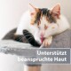 Dreifarbige Katze putzt sich auf einem grauen Kratzbaum-Plateau und leckt ihre Pfote; eingeblendeter Text: "Unterstützt beanspruchte Haut".