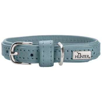 Hellblaues Lederhalsband für Hunde mit silberner Schnalle und D-Ring, Ziernähten und Metallanhänger mit der Aufschrift „HUNTER“.