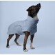 Ein gestromter Hund trägt einen weichen, hellblauen Fleece-Mantel und schaut vor einem hellblauen Hintergrund nach oben.