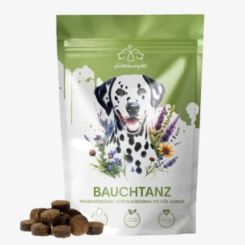 Eine grüne Haustierfuttertüte mit einem lächelnden Dalmatiner, umgeben von Blumen, beschriftet mit 'BAUCHTANZ' und 'präbiotischer Verdauungsnacks für Hunde.'