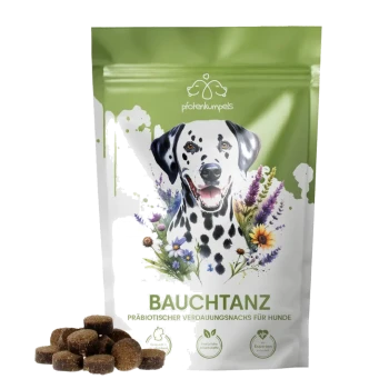 Eine grüne Haustierfuttertüte mit einem lächelnden Dalmatiner, umgeben von Blumen, beschriftet mit 'BAUCHTANZ' und 'präbiotischer Verdauungsnacks für Hunde.'