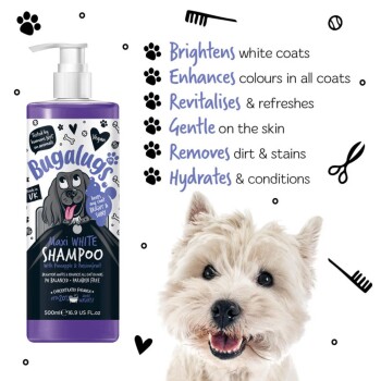 Eine Flasche Bugalugs Maxi White Shampoo mit einem Cartoon-Hund auf dem Etikett, die Vorteile wie das Aufhellen von Fellen und die Hydratation der Haut hervorhebt.
