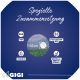 Blauer Hintergrund mit dem Text "Spezielle Zusammensetzung", Zutaten-Icons, einer 1,6 cm weißen Tablette und dem GIGI-Logo darunter.