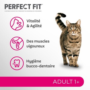 Un chat tigré se tient au centre avec du texte sur les avantages de la nourriture pour chats "Perfect Fit" : "Vitalité & Agilité", "Muscles vigoureux", et "Hygiène bucco-dentaire."