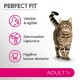 Un chat tigré se tient au centre avec du texte sur les avantages de la nourriture pour chats "Perfect Fit" : "Vitalité & Agilité", "Muscles vigoureux", et "Hygiène bucco-dentaire."