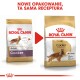 Porównanie torebek karmy dla psów Royal Canin Cocker Adult, pokazujące brązowego Cocker Spaniela i "Nowe opakowanie, ta sama receptura."