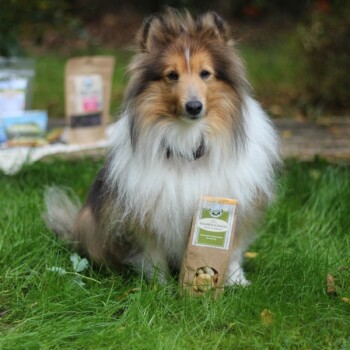Ein flauschiger Collie sitzt auf Gras und hält eine Tüte "Snacker-Kost" Hundeleckerlis, mit verschwommenen Haustierprodukten im Hintergrund.