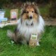 Ein flauschiger Collie sitzt auf Gras und hält eine Tüte "Snacker-Kost" Hundeleckerlis, mit verschwommenen Haustierprodukten im Hintergrund.