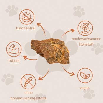 Ein natürlicher Hundekau-Stick, umgeben von Symbolen, die seine Eigenschaften hervorheben: kalorienfrei, robust, erneuerbare Ressource, vegan und ohne Konservierungsstoffe.