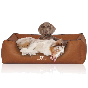 Ein gemütliches braunes Hundebett mit einem weißen und braunen Australian Shepherd, der bequem liegt, mit dem Logo "KNUFFELWUFF" auf der Vorderseite.