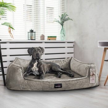 Ein grauer Hund ruht sich bequem auf einem plüschigen Hundebett in einem modernen Wohnraum aus, mit einer dekorativen Pflanze und einer Laterne im Hintergrund.