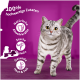 Eine silberne getigerte Katze auf Holz mit einem lila Hintergrund, der Text über hochwertige Zutaten und Gesundheitsvorteile zeigt.