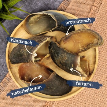 Ein Holzbrett hält mehrere große, natürliche Hundekauartikel, beschriftet mit Text: 'Kausnack', 'proteineich', 'naturbelassen' und 'fettarm.'