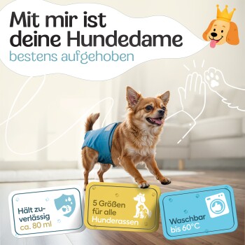 Beagle in einer grünen Windel, mit Text: "Extrem saugstark," "5 Größen," "3 Einstellmöglichkeiten," "Weiches Innenfutter."