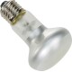 A close-up of a clear, bulb-shaped light bulb with a silver base, designed for pet habitats or terrariums.