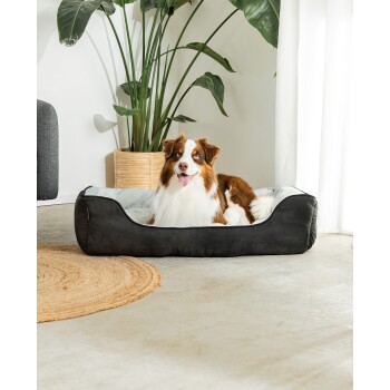 2-in-1 Hundebett Hundekissen L