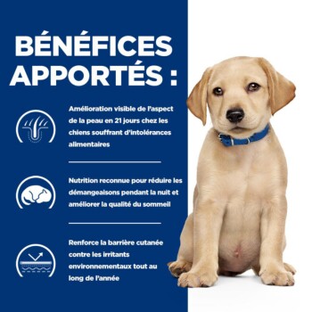 Un chiot Labrador sur un fond bleu met en avant les avantages pour les chiens ayant des intolérances alimentaires, comme une peau améliorée et des démangeaisons réduites.