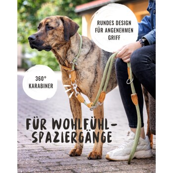 Ein gestromter Hund auf einem gepflasterten Weg, angeleint von einer Person in schwarzen Jeans und weißen Sneakers. Text: "Für Wohlfühl-Spaziergänge", "Rundes Design."