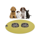 Eine goldene Tiermatte mit zwei Edelstahlschalen steht vor einem Hund, einem Kätzchen und einer schwarzen Katze, die alle zur Kamera schauen.