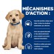 Un chiot Labrador est assis sur un fond bleu avec du texte sur les protéines pour les réactions alimentaires, le soutien immunitaire et la santé de la peau.