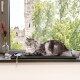Eine flauschige graue Katze mit grünen Augen liegt auf einer schwarzen Matte am Fenster und blickt auf eine üppige grüne Landschaft und ein historisches Gebäude.