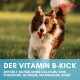 Nahaufnahme von Bierhefe-Granulat mit deutschem Text, der besagt, dass es bei Haut- und Fellproblemen von Hunden hilft; weiße Hundesilhouette sichtbar