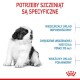 Puchaty czarno-biały szczeniak siedzi po lewej stronie, z tekstem po prawej stronie wymieniającym potrzeby szczeniaka: słaba odporność, przyrost masy ciała i wrażliwa trawienie.