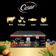 Cesar Mega-Pack Hundefutter-Terrinenbox mit Terrierbild; Symbole mit den Aufschriften Rind, Geflügel, Lachs, Truthahn.