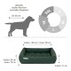 Hundebettmaße und Größenleitfaden für Rassen wie Labrador und Golden Retriever, mit einem grünen gepolsterten Bett und Maßen.