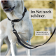 Weißer Hund mit einem schwarzen Freudentier-Halsband und Leine, Text lautet „Im Set noch schöner“ und „Passende Leine separat erhältlich.“