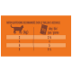 Guide d'alimentation quotidienne pour les chats, montrant les quantités recommandées en fonction du poids en kg : 2 kg - 2½, 4 kg - 4, 6 kg - 5, 8 kg - 6¼.