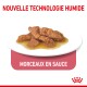 Nourriture humide pour animaux de compagnie en sauce, avec des morceaux de viande tendre sur une assiette blanche, avec le texte "Nouvelle Technologie Humide" et "Morceaux en Sauce."