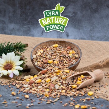 Eine Holzschale mit bunten Samen und Nüssen, die auf Jute fällt, mit einer Blume, einem Schaufel und dem Logo "LYRA NATURE POWER" darüber.