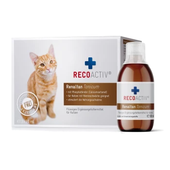 Eine Flasche Renaltan Tonicum für Katzen, ein flüssiges Nahrungsergänzungsmittel bei Niereninsuffizienz, mit einem braunen Etikett und weißem Text.