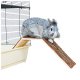 Ein grauer Hase sitzt auf einer Holzrampe, die zu einem kleinen Haustierkäfig mit einem Drahtoberteil und einem beigen Boden führt.