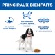 Chien noir et blanc avec une gamelle sous l'en-tête 'PRINCIPAUX BIENFAITS' et texte des avantages en français accompagné d'icônes.