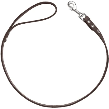 Braune Leder-Hundeleine mit einem silbernen Metallclip, vor einem weißen Hintergrund präsentiert.