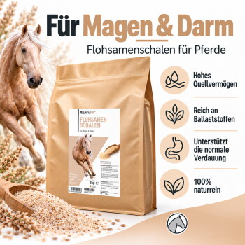 Ein kleiner Hügel aus hellfarbigem, fein gemahlenem Haustierfutterzusatz auf einem weißen Hintergrund.