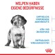 Welpen haben eigene Bedürfnisse; empfindliches Immunsystem, Lernphase und empfindliches Verdauungssystem, hervorgehoben in blauer Schrift.