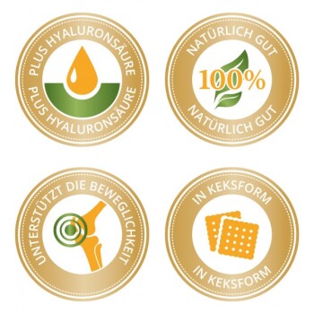 Vier kreisförmige Symbole auf goldenem Hintergrund: "Plus Hyaluronsäure", "100% Natürlich Gut", "Unterstützt die Beweglichkeit" und "In Keksform."